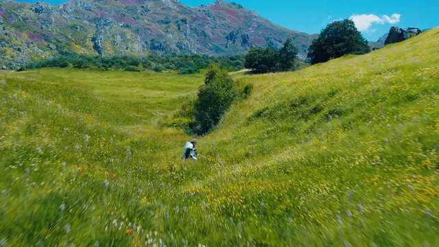 Official still 11 from The Hunger Games: Sunrise on the Reaping